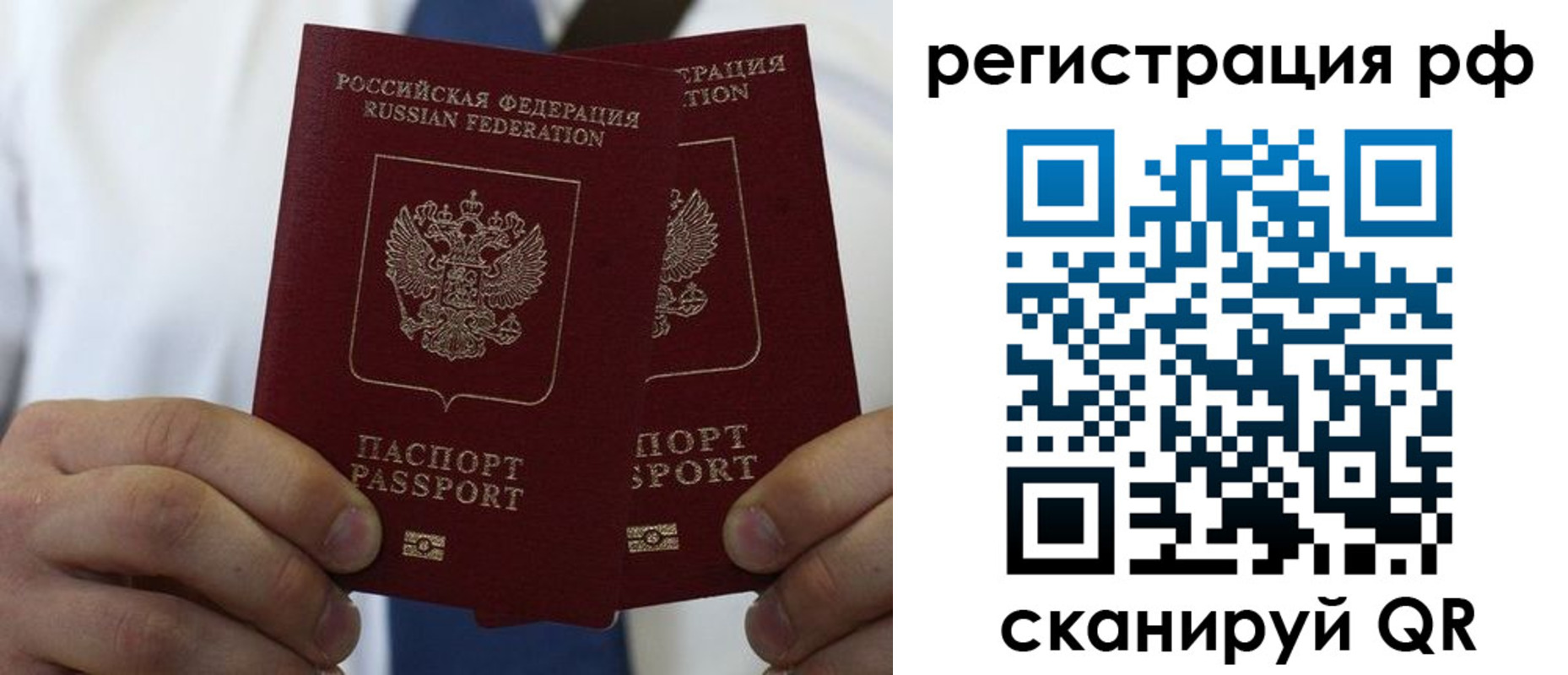 прописка для школы в Александрове